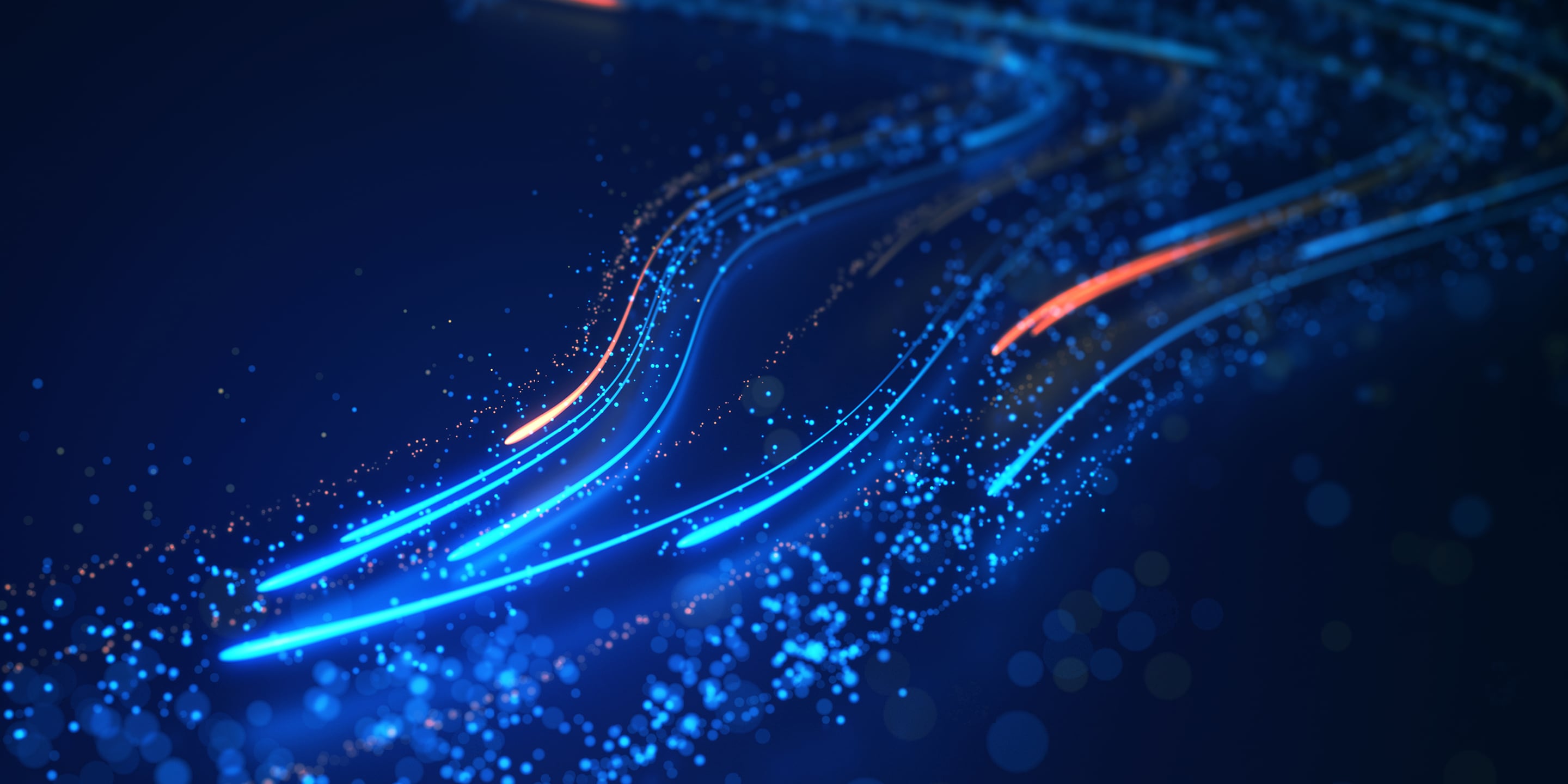 Anonymous Cyber Case Study